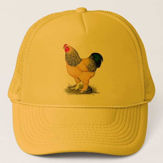 Brahma: Buff Rooster Trucker Pet (Voorkant)