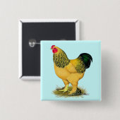 Brahma: Buff Rooster Vierkante Button 5,1 Cm (Voorkant /achterkant)