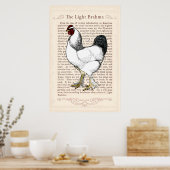 Brahma Chicken Country Kitchen  Decor Poster (Keuken)