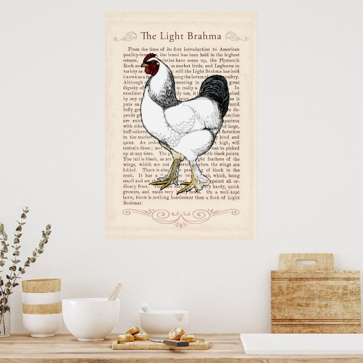 Brahma Chicken Country Kitchen  Decor Poster (Keuken)