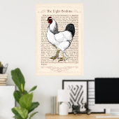 Brahma Chicken Country Kitchen  Decor Poster (Thuiskantoor)