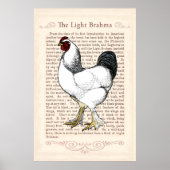 Brahma Chicken Country Kitchen  Decor Poster (Voorkant)