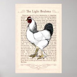 Brahma Chicken Country Kitchen  Decor Poster