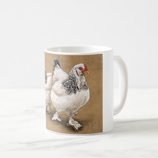 Brahma Chicken Mokken (Voorkant rechts)