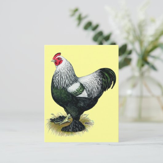 Brahma:  Dark Rooster Briefkaart (Staand voorkant)