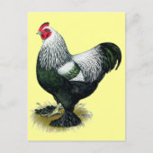 Brahma: Dark Rooster Briefkaart (Voorkant)