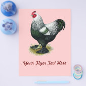 Brahma: Donkere rooster Flyer (Enkel)