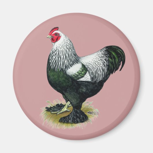 Brahma: Donkere rooster Magneet (Voorkant)