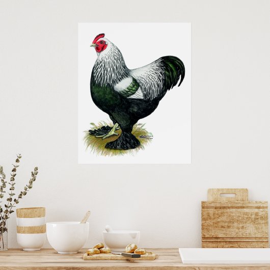 Brahma: Donkere rooster Poster (Keuken)