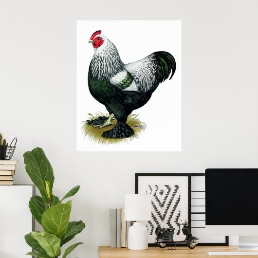 Brahma: Donkere rooster Poster (Thuiskantoor)