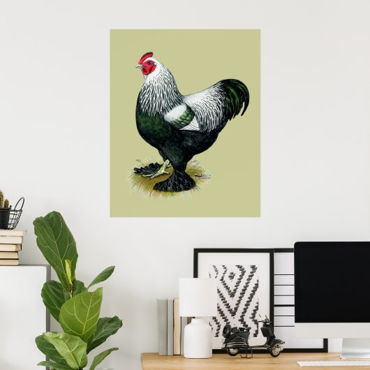 Brahma: Donkere rooster Poster (Thuiskantoor)