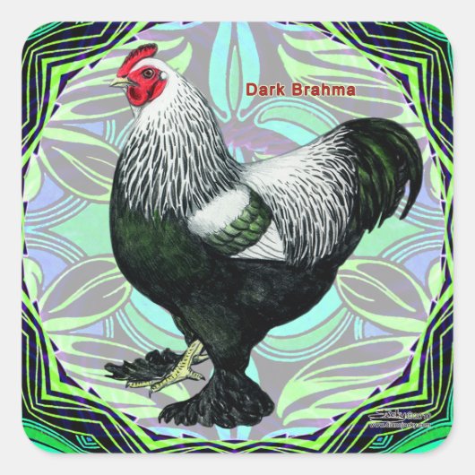 Brahma: Fancy donkere rooster Vierkante Sticker (Voorkant)
