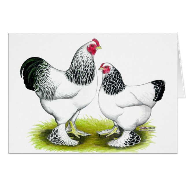 Brahma: Licht (Voorkant Horizontaal)