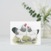 Brahma: Licht2 Briefkaart (Staand voorkant)