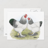 Brahma: Licht2 Briefkaart (Voorkant / Achterkant)