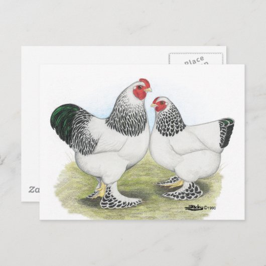 Brahma: Licht2 Briefkaart (Voorkant / Achterkant)