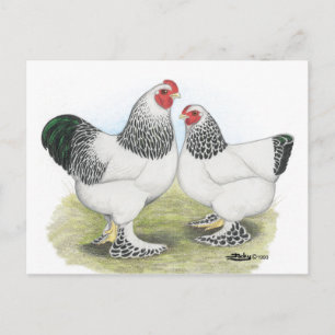 Brahma: Licht2 Briefkaart