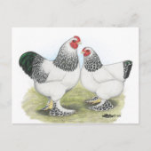 Brahma: Licht2 Briefkaart (Voorkant)