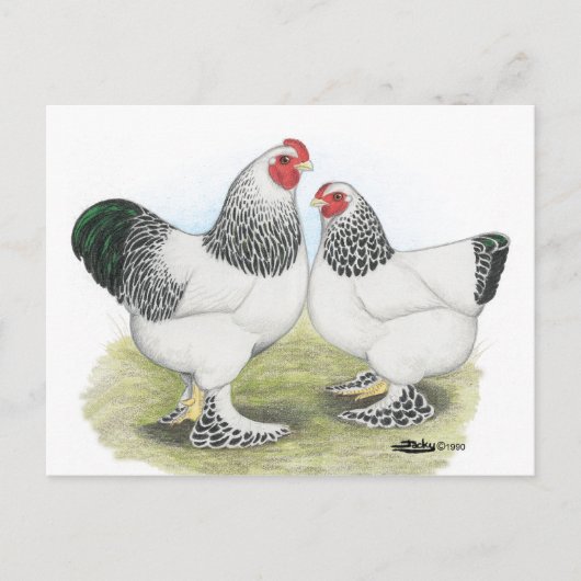 Brahma: Licht2 Briefkaart (Voorkant)