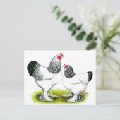 Brahma: Licht Briefkaart (Staand voorkant)