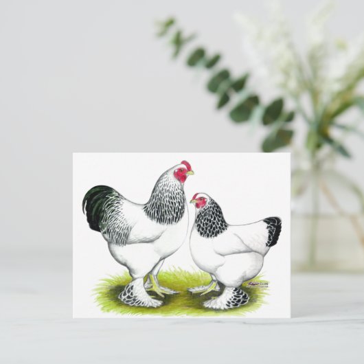 Brahma: Licht Briefkaart (Staand voorkant)