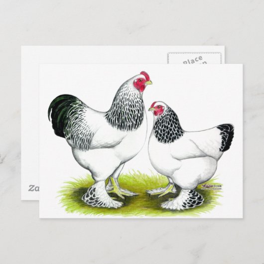 Brahma: Licht Briefkaart (Voorkant / Achterkant)