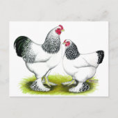 Brahma: Licht Briefkaart (Voorkant)