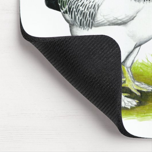 Brahma:  Licht Muismat (Hoek)