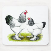 Brahma:  Licht Muismat (Voorkant)