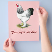 Brahma:  Lichte Haan Flyer (Hand)