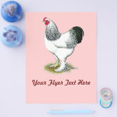 Brahma:  Lichte Haan Flyer (Enkel)