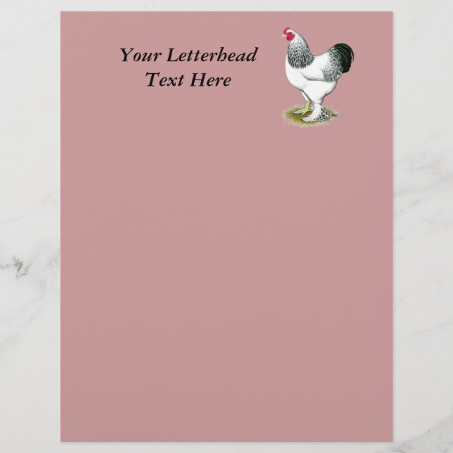 Brahma: Lichte rooster (Voorkant)