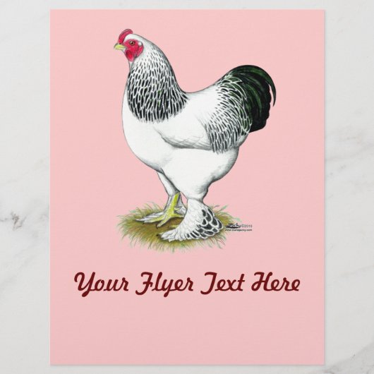 Brahma: Lichte rooster Flyer (Voorkant)