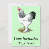 Brahma: Lichte rooster Kaart (Voorkant)