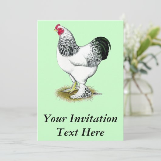 Brahma: Lichte rooster Kaart (Staand voorkant)