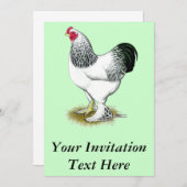 Brahma: Lichte rooster Kaart (Voorkant / Achterkant)