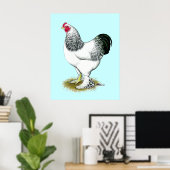 Brahma: Lichte rooster Poster (Thuiskantoor)