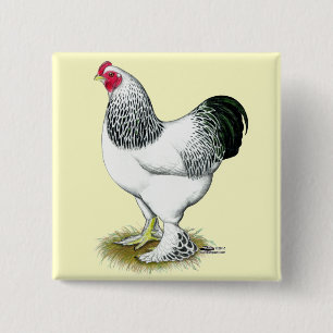 Brahma: Lichte rooster Vierkante Button 5,1 Cm