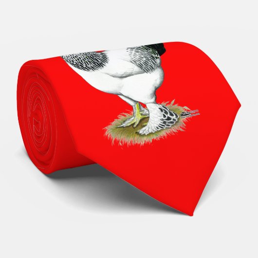 Brahma:  Lichtrooster Stropdas (Opgerold)