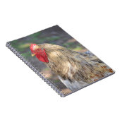 Brahma Rooster Notitieboek (Rechterzijde)