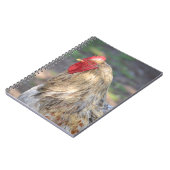 Brahma Rooster Notitieboek (Linkerzijde)