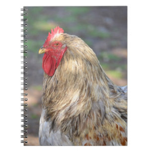 Brahma Rooster Notitieboek