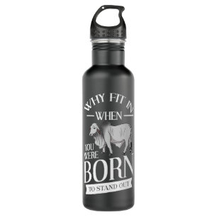 Brahman Bull Cattle Mini Zebu Koe Premium Waterfles