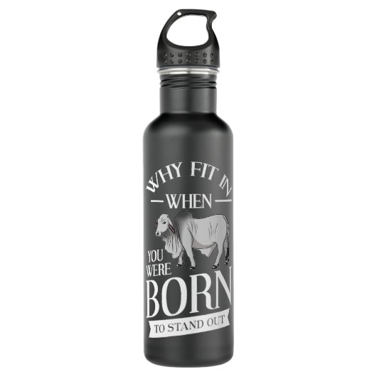 Brahman Bull Cattle Mini Zebu Koe Premium Waterfles (Voorkant)