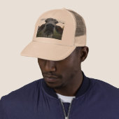 BRAHMAN BULL IN PLATTELANDSAUSTRALIË TRUCKER PET (In situ)