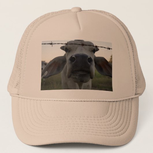 BRAHMAN BULL IN PLATTELANDSAUSTRALIË TRUCKER PET (Voorkant)