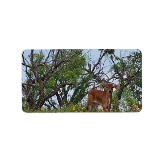 Brahman Calf in Wildflowers Etiket (Voorkant)