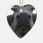 BRAHMAN COW STEER RURAL QUEENSLAND AUSTRALIË KERAMISCH ORNAMENT (Links)