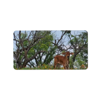 Brahman Kalf in Wilde Bloemen Etiket