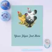 Brahmas Drie Hanen Flyer (Enkel)